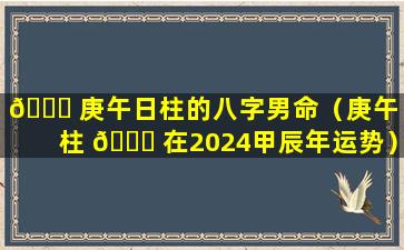 🐅 庚午日柱的八字男命（庚午日柱 🐎 在2024甲辰年运势）